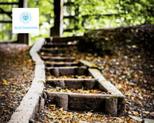 steps in a forest area with blue diamond logo