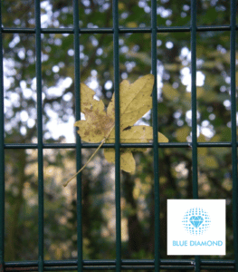 leaf stuck in fence with blue diamond logo